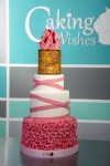 Caking Wishes 5 - 