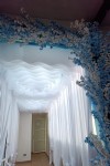 Expresiones y detalles - Expo 15